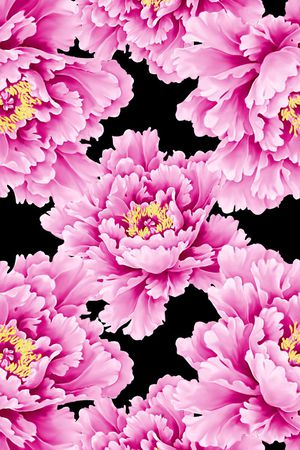 图腾印花花型图片