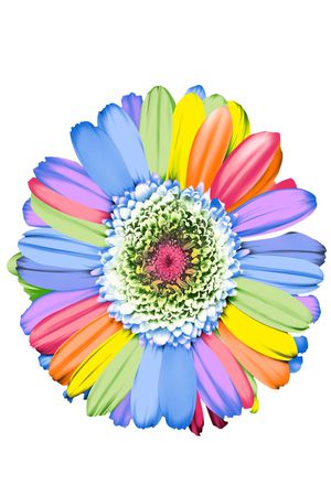 花朵印花花型图片