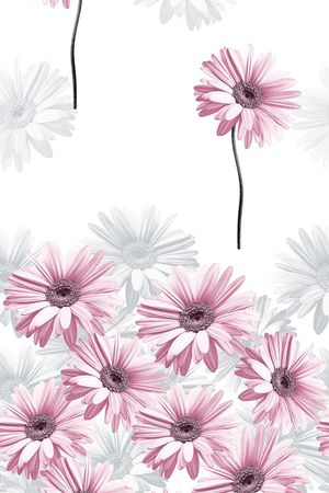 花朵印花花型图片