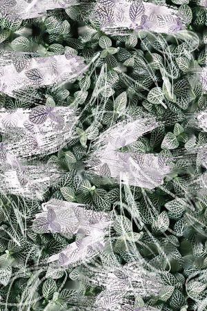 肌理印花花型图片