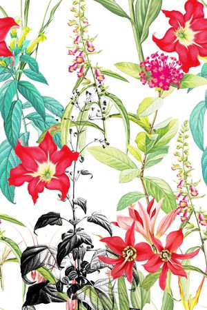 树叶印花花型图片