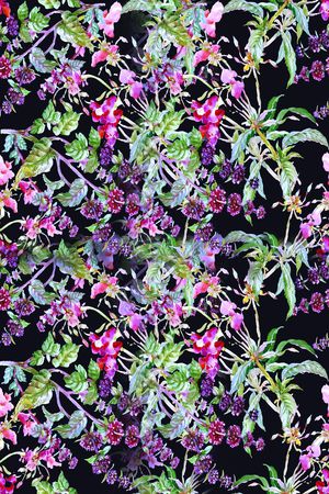 零点--女装印花花型图片