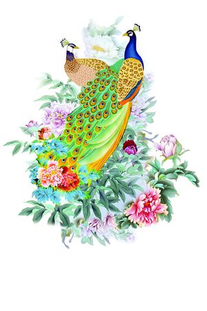 孔雀印花花型图片