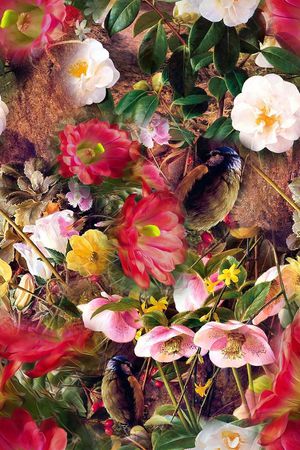 花朵印花花型图片