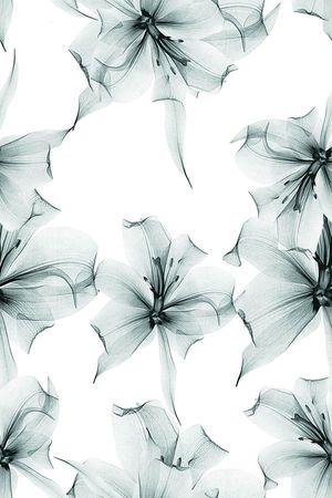 时尚手绘花型数码印花印花花型图片