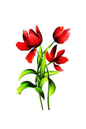 时尚女装印花花型图片
