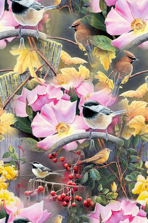花鸟印花花型图片