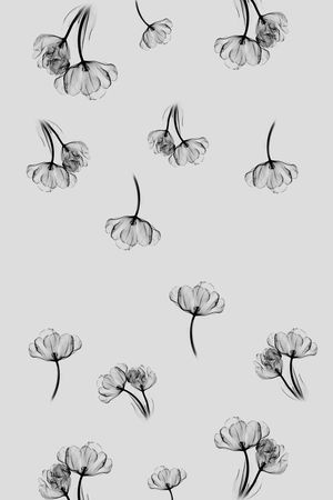 花朵印花花型图片