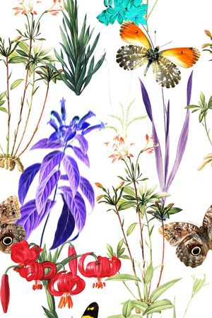 花鸟印花花型图片