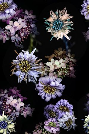 花朵印花花型图片