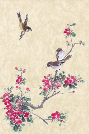 花鸟印花花型图片