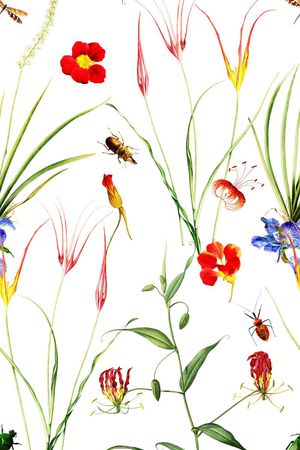 小碎花印花花型图片
