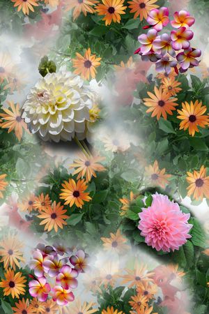 花朵印花花型图片
