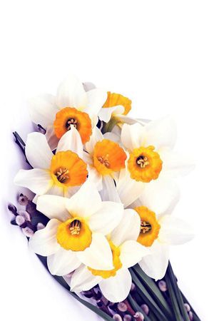 花朵印花花型图片