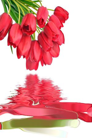 花朵印花花型图片