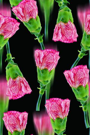时尚抽象3D植物数码印花印花花型图片