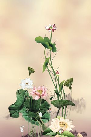 荷花印花花型图片