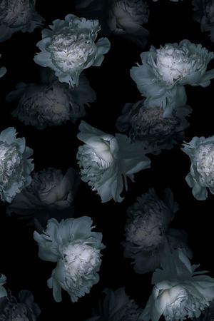 时尚潮流黑白玫瑰花数码印花印花花型图片