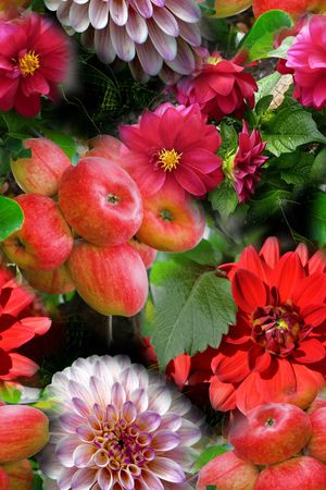 花朵印花花型图片