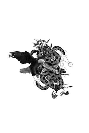 老鹰印花花型图片