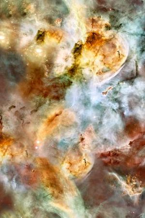 星空印花花型图片