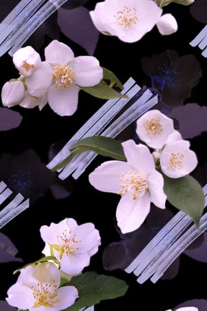 花卉印花花型图片