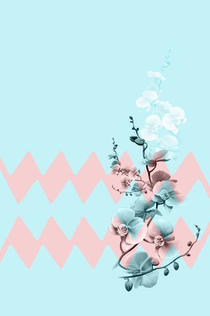 中老年女装印花花型图片