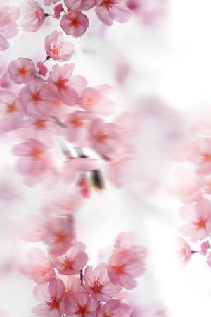 桃花印花花型图片
