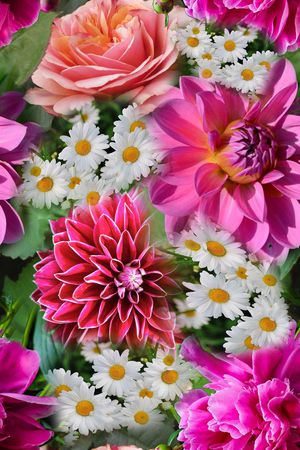 花朵印花花型图片