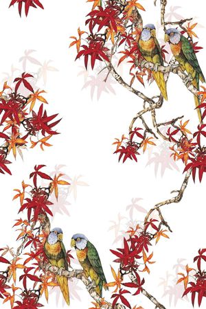 鸟印花花型图片