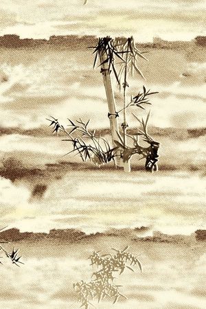 个性印花花型图片