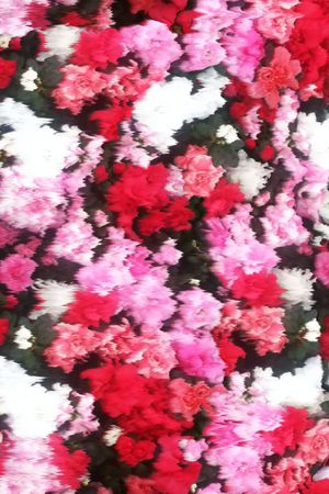 花卉印花花型图片