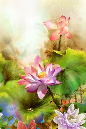 荷花印花花型图片