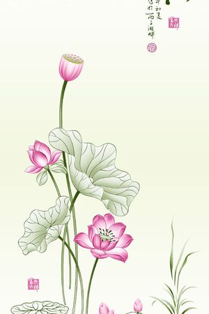 窗帘印花花型图片