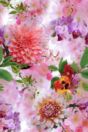 花朵印花花型图片