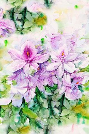 乱花印花花型图片