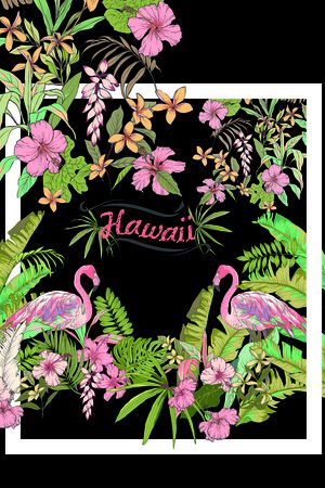 flamingo印花花型图片