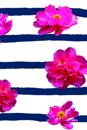 花朵印花花型图片