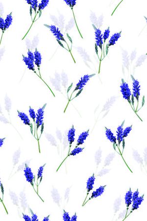 花鸟集印花花型图片