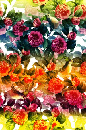 条纹印花花型图片