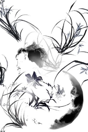 黑白花印花花型图片