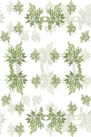水彩花卉印花花型图片