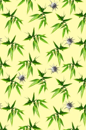 贝壳印花花型图片