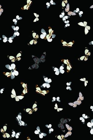 昆虫印花花型图片