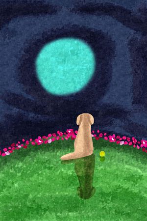 手绘印花花型图片