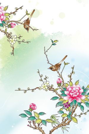 Fei-女装印花花型图片