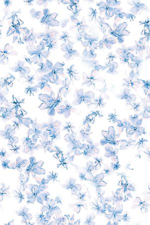 小碎花印花花型图片
