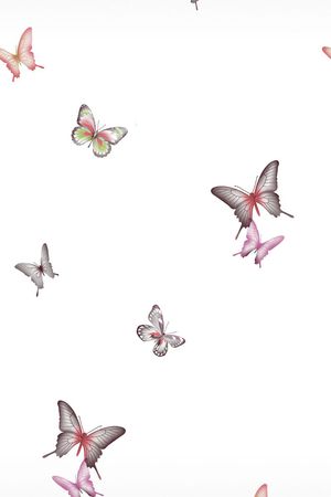 蝴蝶印花花型图片