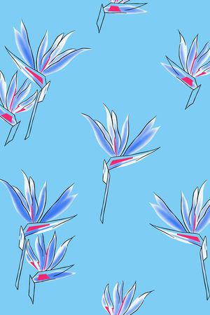 2017年女装新花型印花花型图片