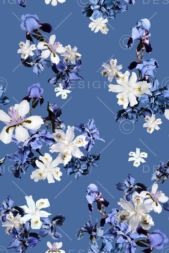 花朵印花花型图片